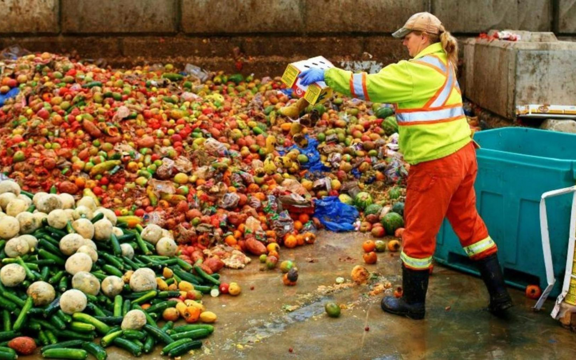 Пищевые отходы утилизация. Свалка пищевых отходов. Для пищевых отходов. Сельскохозяйственные отходы.